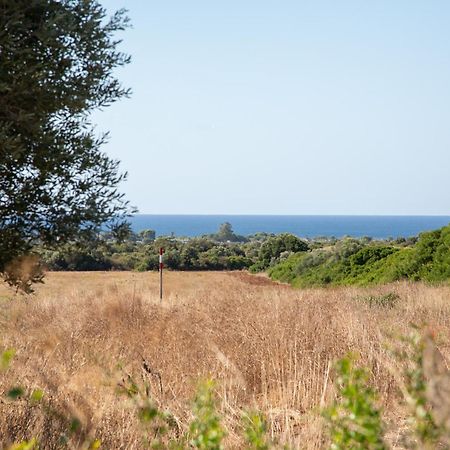 Masseria Scaledda Manduria Eksteriør billede
